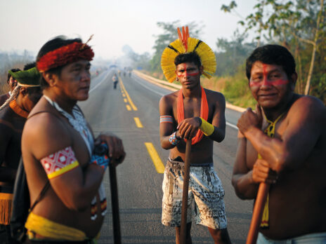 Letter from Brazil: the rainforest fights back