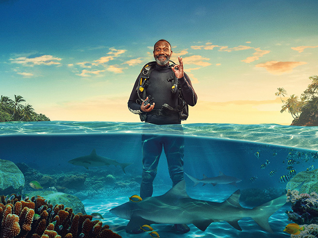 Shark! Celebrity Infested Waters is TV without bite Shark! Celebrity Infested Waters is TV without bite